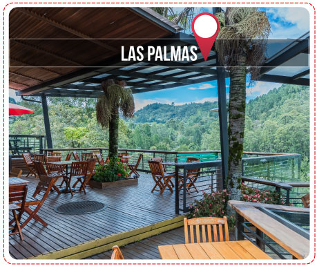 03-las-palmas-icono