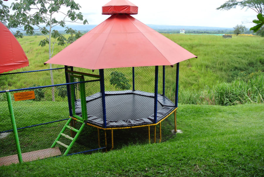 Cerritos Pizzas Piccolo Pizza